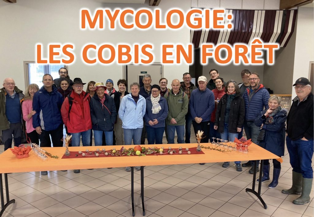 LA MARCHE MYCOLOGIQUE