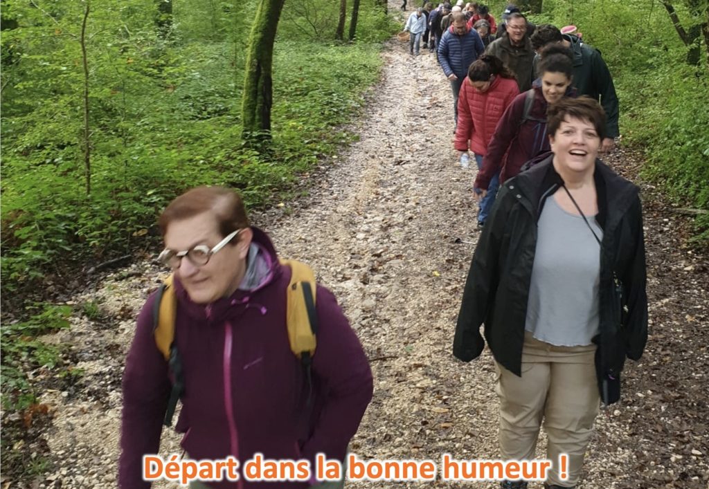 marche mycologique3