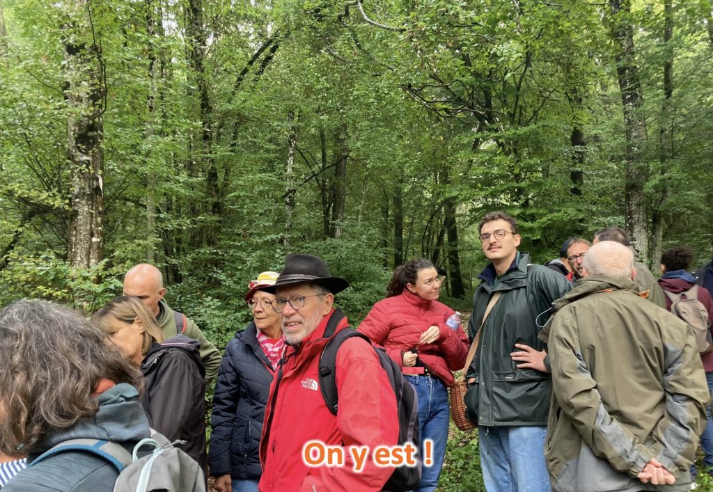 marche mycologique4