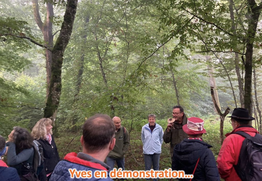 marche mycologique10
