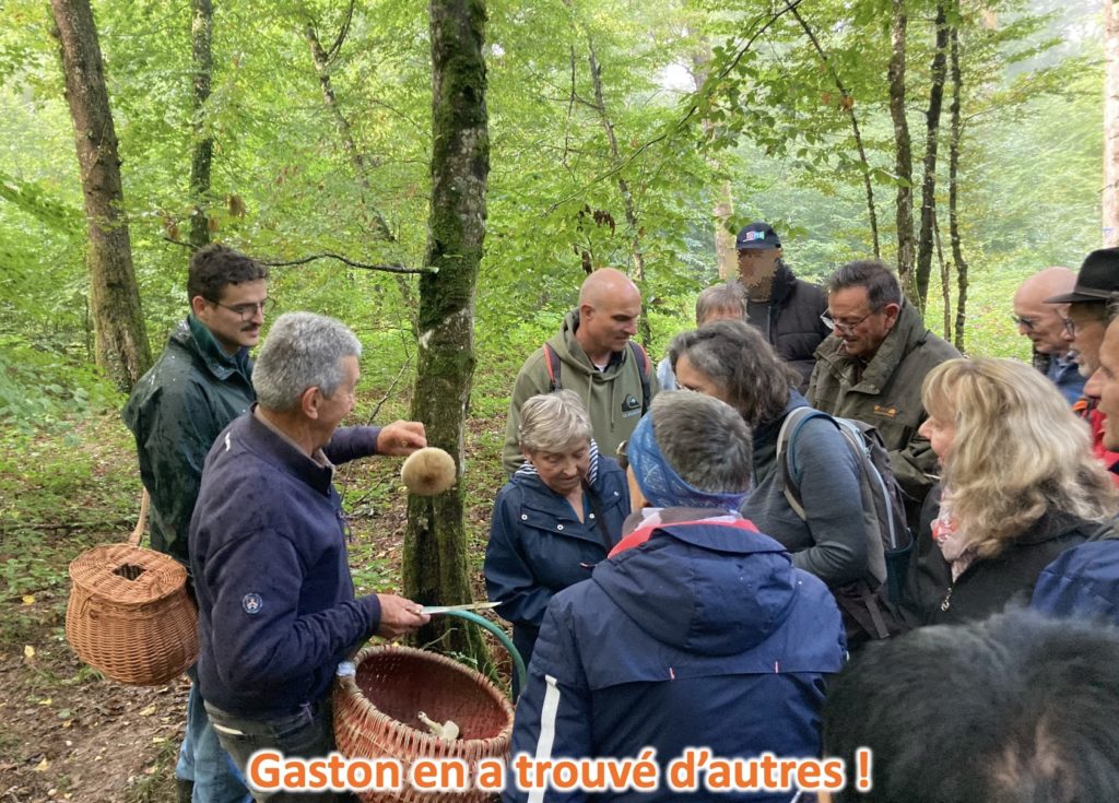 marche mycologique11