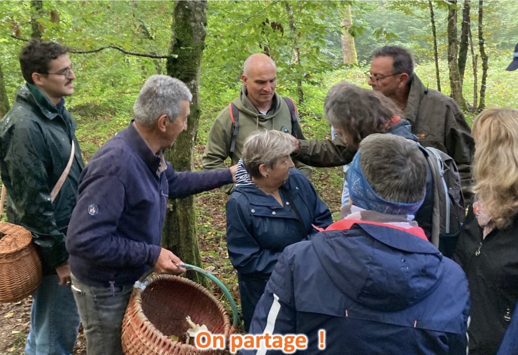 marche mycologique12