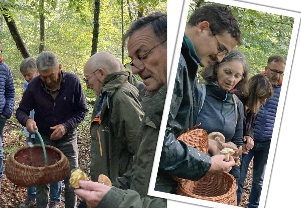 marche mycologique13