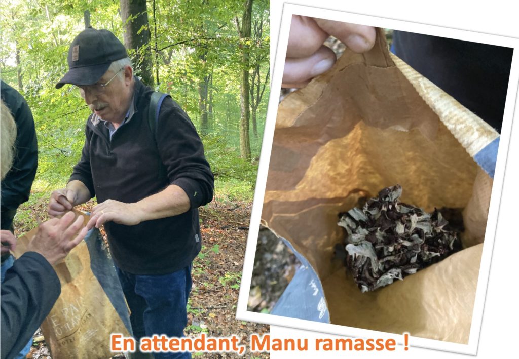 marche mycologique14
