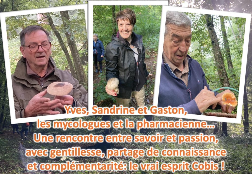marche mycologique21