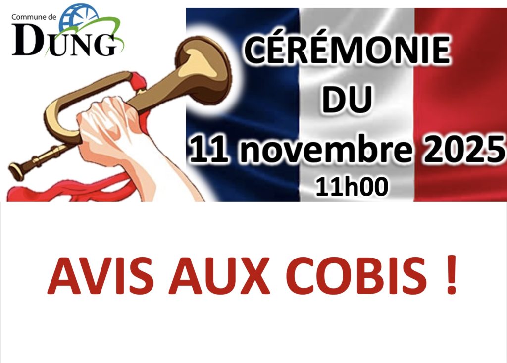 cérémonie du 11 novembre1