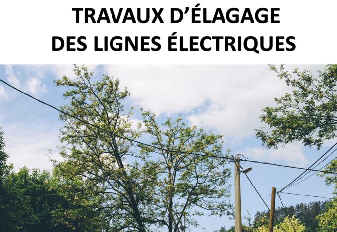 travaux d'élagage ENEDIS1