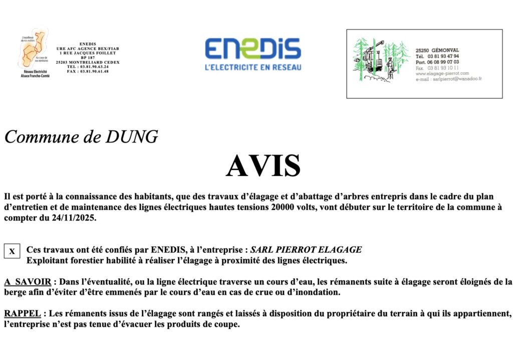 travaux d'élagage ENEDI2